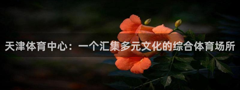 betway西汉姆联官网