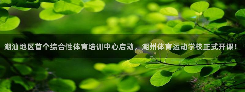 必威betway西汉姆联