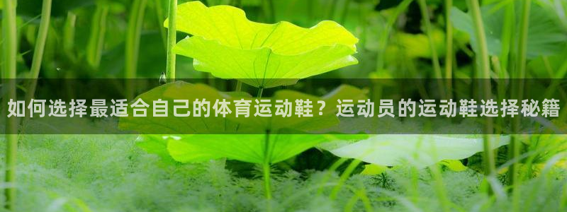 betway西汉姆联：如何选择最适合自己的体育运动鞋？运动员的运动鞋选择秘籍