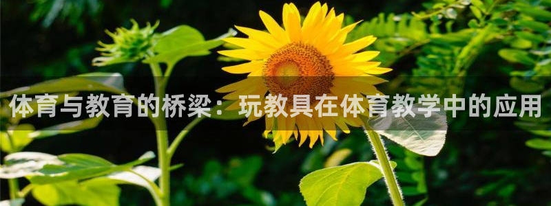 betway西汉姆联：体育与教育的桥梁：玩教具在体育教学中的应用
