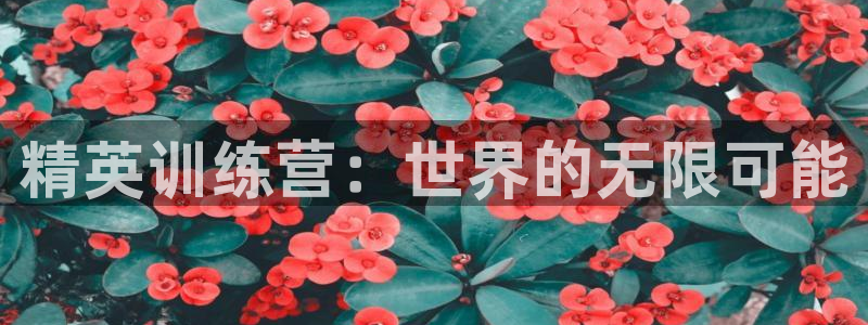 betway西汉姆