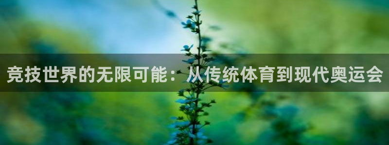 betway西汉姆联官网：竞技世界的无限可能：从传统体育到现代奥运会